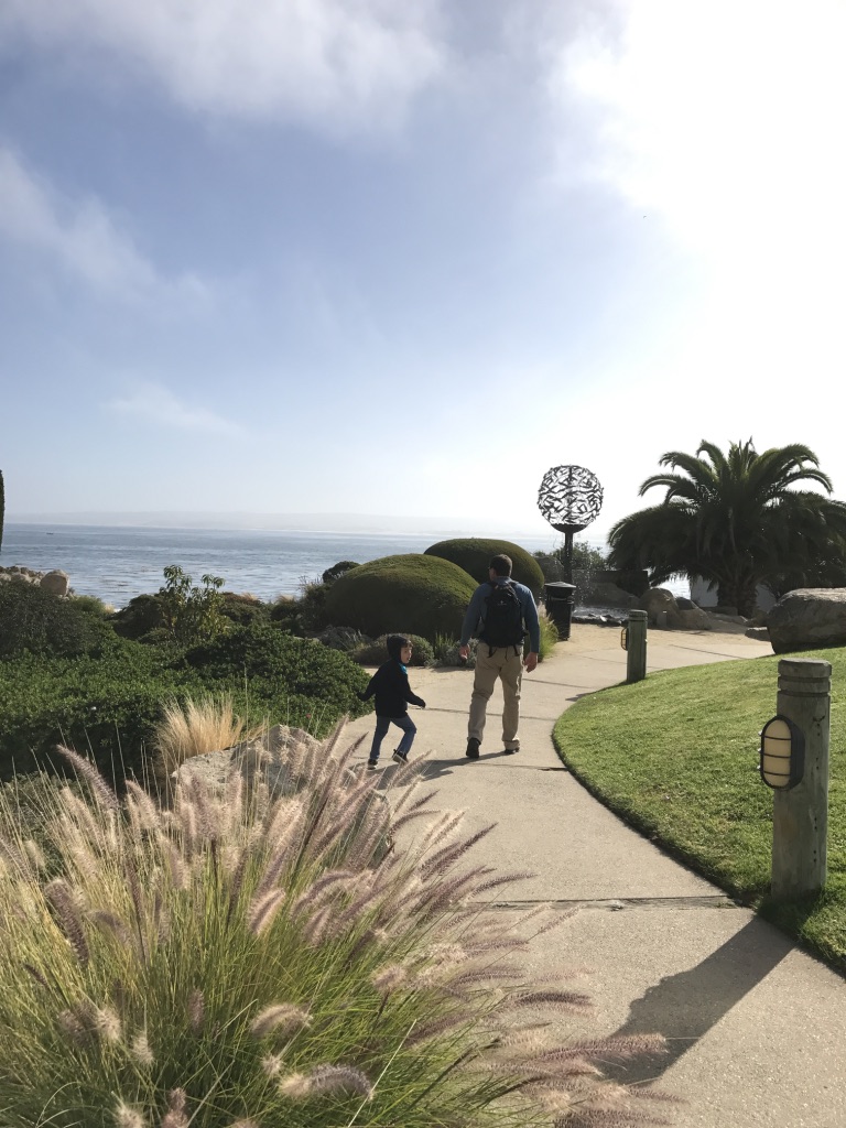 UNADJUSTEDNONRAW_thumb_37dc