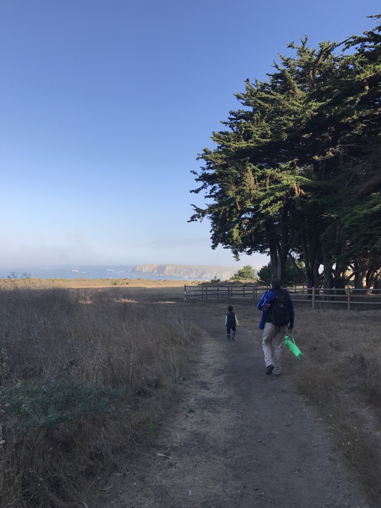 UNADJUSTEDNONRAW_thumb_37ed