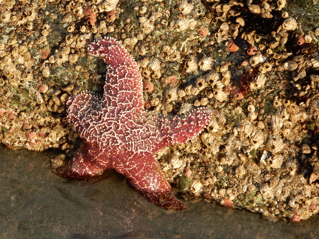 UNADJUSTEDNONRAW_thumb_398c