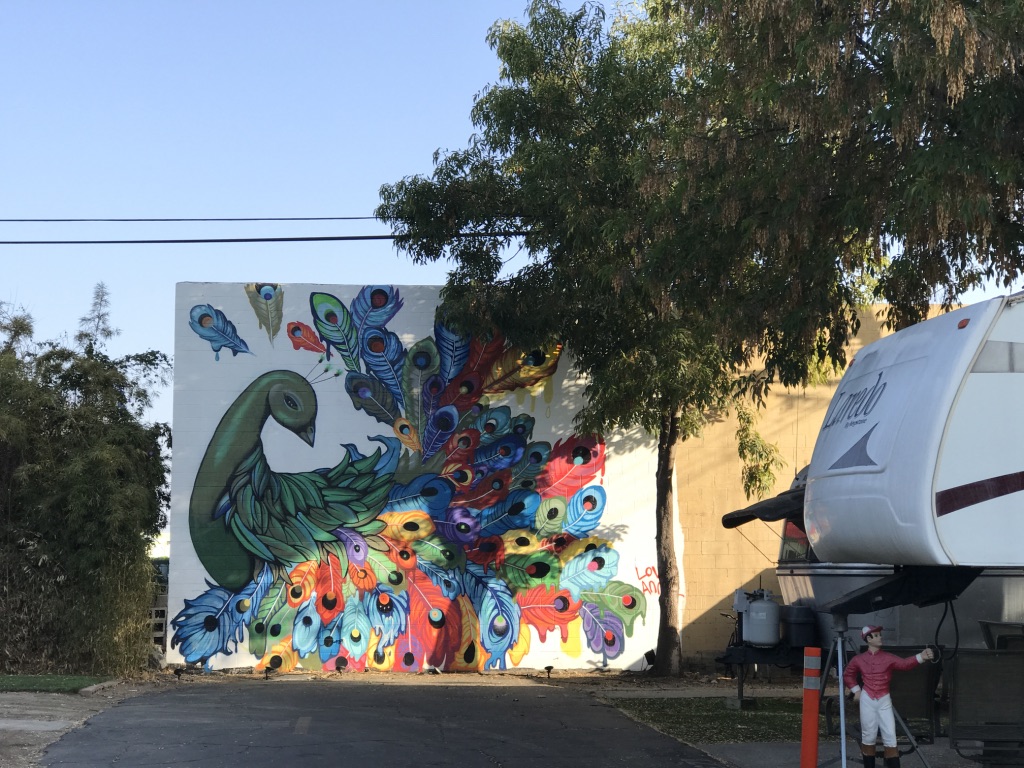 UNADJUSTEDNONRAW_thumb_380d